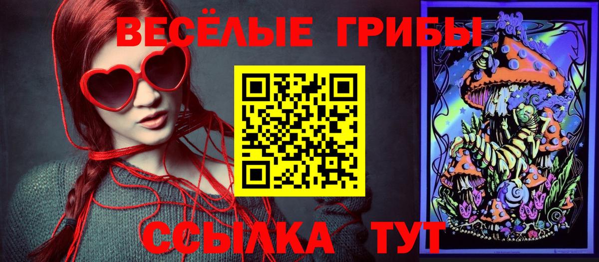 Псилоцибиновые грибы Psilocybe  купить закладку  Новокубанск  Галлюциногенные грибы ЛСД  Вход с VPN 