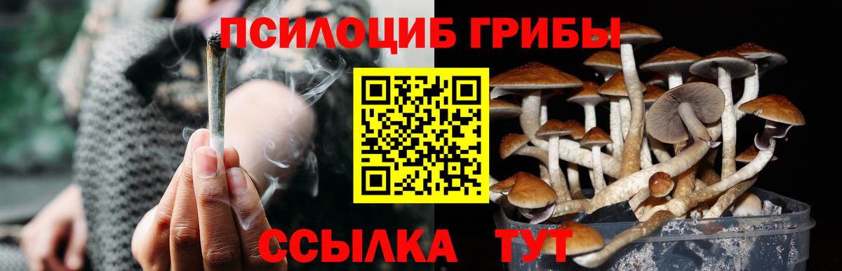 Галлюциногенные грибы прущие грибы Новокубанск